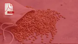 خرید و دانلود پاورپوینت عدس