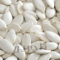 تخمه کدو سایز 11 | فروش عمده و جزئی درجه 1 با طعم و کیفیت بی‌نظیر در تاجرین