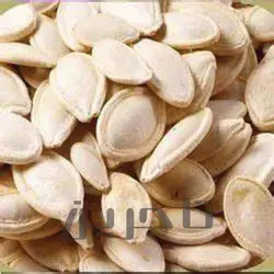 تخمه کدو سایز 11 | فروش عمده و جزئی درجه 1 با طعم و کیفیت بی‌نظیر در تاجرین