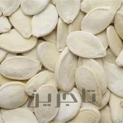 تخمه کدو سایز 11 | فروش عمده و جزئی درجه 1 با طعم و کیفیت بی‌نظیر در تاجرین