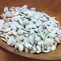 تخمه کدو سایز 11 | فروش عمده و جزئی درجه 1 با طعم و کیفیت بی‌نظیر در تاجرین