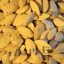 تخمه کدو سایز 11 | فروش عمده و جزئی درجه 1 با طعم و کیفیت بی‌نظیر در تاجرین