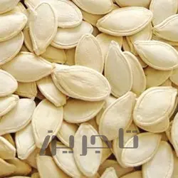 تخمه کدو سایز 11 | فروش عمده و جزئی درجه 1 با طعم و کیفیت بی‌نظیر در تاجرین