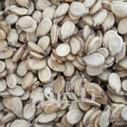 فروش عمده تخمه هندوانه با کیفیت برتر در تاجرین خشکبار