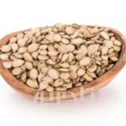 فروش عمده تخمه هندوانه با کیفیت برتر در تاجرین خشکبار