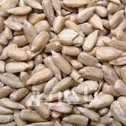 مغز تخمه آفتابگردان ایرانی | خرید عمده با کیفیت درجه 1 وبهترین قیمت از تاجرین