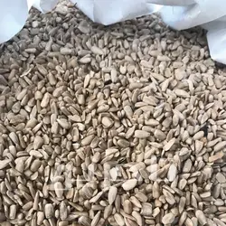 مغز تخمه آفتابگردان ایرانی | خرید عمده با کیفیت درجه 1 وبهترین قیمت از تاجرین