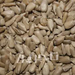 مغز تخمه آفتابگردان ایرانی | خرید عمده با کیفیت درجه 1 وبهترین قیمت از تاجرین