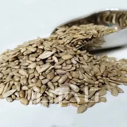 مغز تخمه آفتابگردان ایرانی | خرید عمده با کیفیت درجه 1 وبهترین قیمت از تاجرین