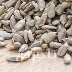 مغز تخمه آفتابگردان روسیه | خرید عمده با کیفیت درجه 1 وبهترین قیمت از تاجرین