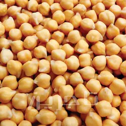 نخودچی ریز و درشت ممقان | فروش عمده و جزئی با کیفیت عالی در تاجرین