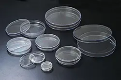 پلیت یک بار مصرف 8 سانتی متری