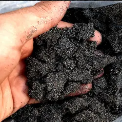 ماسه تزیینی آکواریوم مدل دریا طرح اکلیلی وزن 1 کیلو گرم