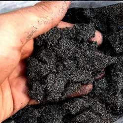 ماسه تزیینی آکواریوم مدل دریا طرح اکلیلی وزن 1 کیلو گرم