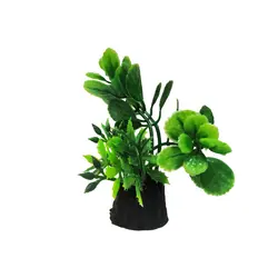 آکواریوم کد A004 به همراه شن و گیاه