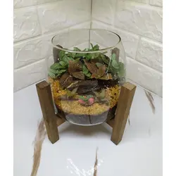 تراریوم گیاه طبیعی مدل آهو