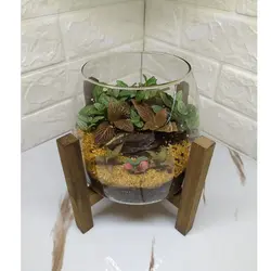 تراریوم گیاه طبیعی مدل آهو