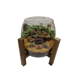 تراریوم گیاه طبیعی مدل آهو