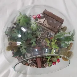 گیاه طبیعی تراریوم ساکولنت و کاکتوس مدل 128