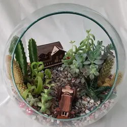 گیاه طبیعی تراریوم ساکولنت و کاکتوس مدل 128
