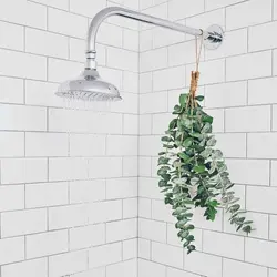 گیاه طبیعی اکالیپتوس مدل F-23 مجموعه 6 عددی