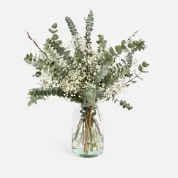 گیاه طبیعی اکالیپتوس مدل F-23 مجموعه 6 عددی