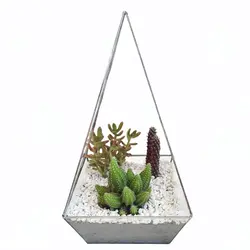 کاکتوس تراریوم مدل شیشه ای چند وجهی