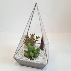 کاکتوس تراریوم مدل شیشه ای چند وجهی