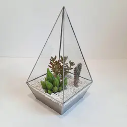 کاکتوس تراریوم مدل شیشه ای چند وجهی