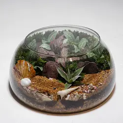 تراریوم مدل شیشه ای گرد کد s