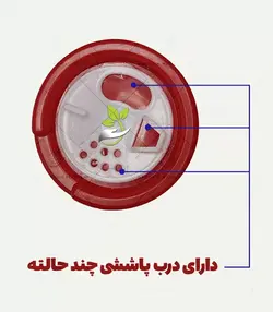 ادویه پیتزا و لازانیا
