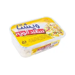 سالاد الویه 400  مرغ ویشتا
