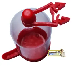 آبخوری گیره دار مناسب پرندگان زینتی