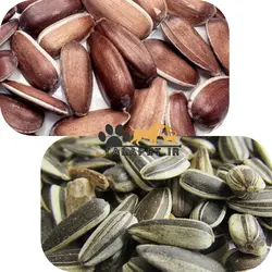 پک تخمه افتاب گردان رژیمی (قرمز و مشکی) مخصوص پرندگان زینتی