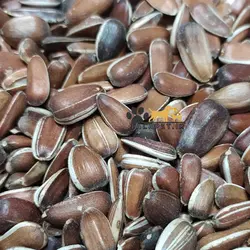 پک تخمه افتاب گردان رژیمی (قرمز و مشکی) مخصوص پرندگان زینتی