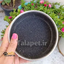 تخم خرفه پرندگان زینتی