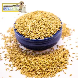 تخم کتان درجه یک پرندگان