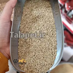 تخم کتان درجه یک پرندگان