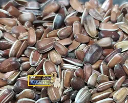 تخمه قرمز رژیمی مخصوص طوطی