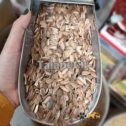 تخمه قرمز رژیمی مخصوص طوطی