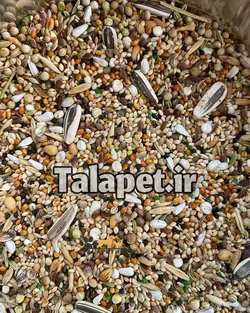 دانه مخلوط تیمک مناسب انواع پرندگان زینتی و طوطیسانان