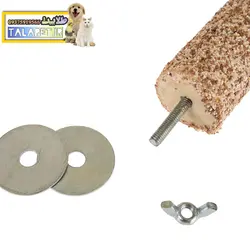 نشیمن زبرو ماسه ای پرندگان و طوطیسانان