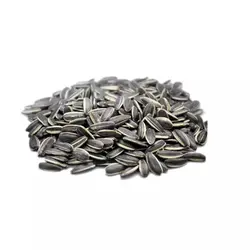 تخمه دورسفید گلپر فله – ۲۵۰ گرم