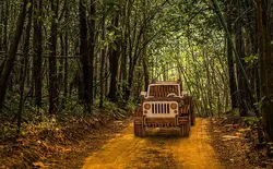 ماکت جیپ چوبی مدل TH_23574