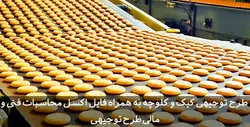 دانلود طرح توجیهی کیک و کلوچه | تسکوشاپ
