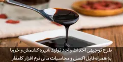 دانلود جامع ترین طرح توجیهی شیره کشمش Word سال 1400| تسکوشاپ