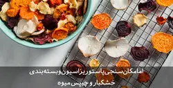 دانلود طرح توجیهی خشکبار و چیپس میوه | تسکوشاپ