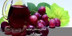 دانلود جامع ترین طرح توجیهی شیره انگور | تسکوشاپ