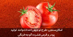 طرح توجیهی پودر گوجه فرنگی و قرص فشرده گوجه فرنگی|تسکوشاپ
