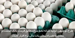 دانلود طرح توجیهی شانه تخم مرغ | بانک صنعت و معدن | تسکوشاپ